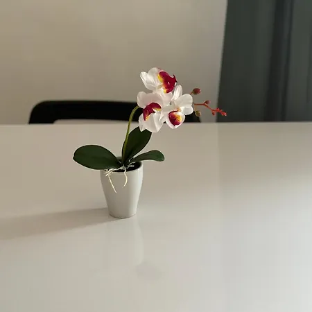 Natura In Centro Appartamento Torino