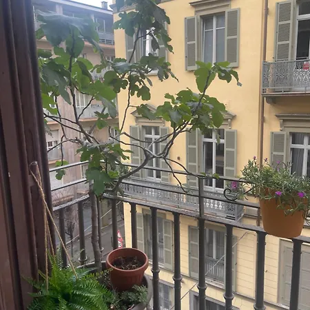 Natura In Centro * Torino